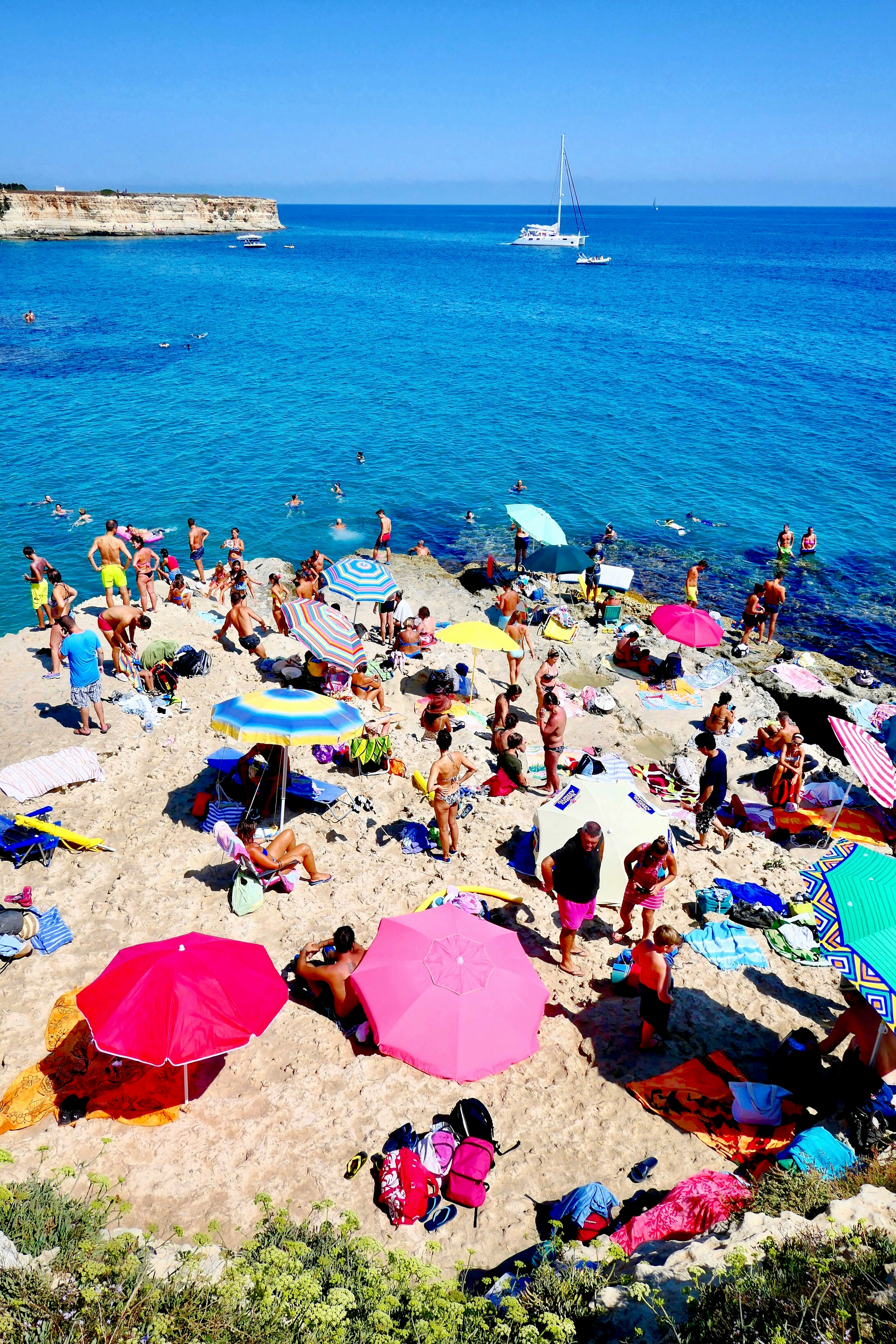 people on beach during daytime